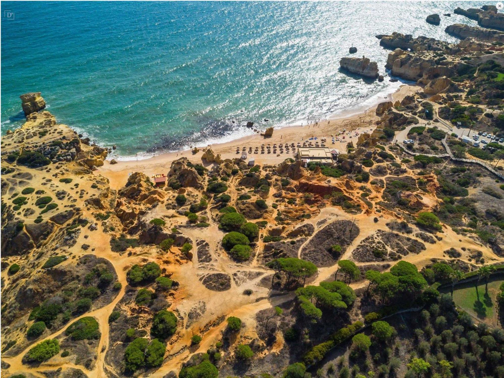 אלבופיירה Seacoast Retreat With Pool And Beach Access By Drago Rentals מראה חיצוני תמונה